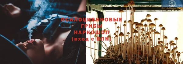 метадон Аркадак