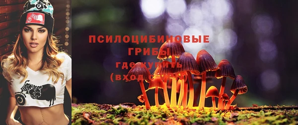 гидра Армянск